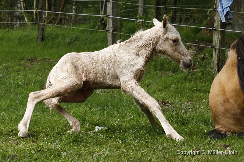 Hjoerdis 22 Min alt (9).JPG